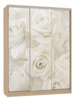 Бассо 7-600 розы (полки слева) дуб сонома фото Бассо 7-600 розы (полки слева) дуб сонома