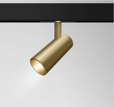 Светильник на штанге Maytoni Technical Track TR019-2-15W3K-MG. Фото №2