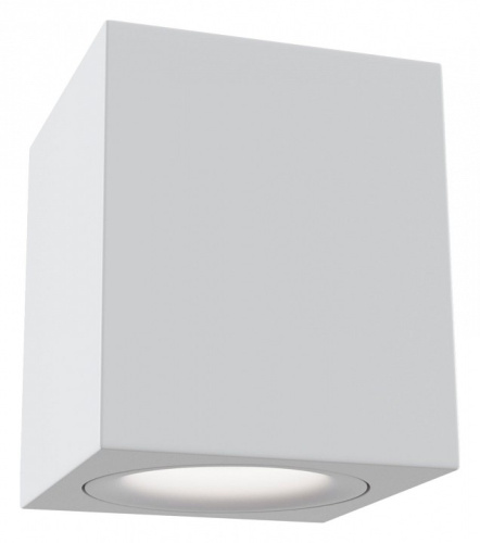 Накладной светильник Maytoni Slim C013CL-01W. Фото №1