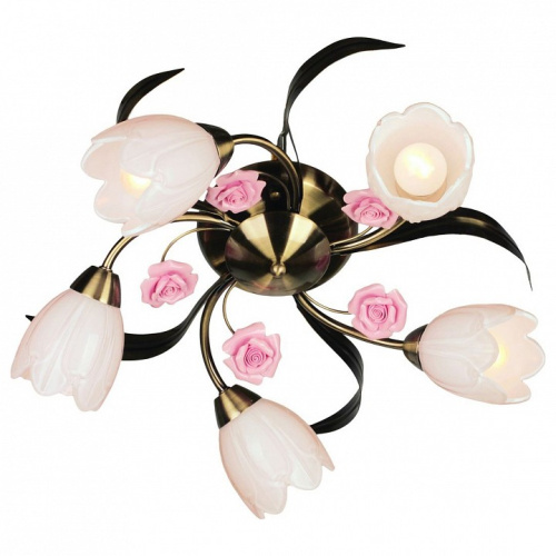 Потолочная люстра Omnilux Champsaur OML-38507-05. Фото №1