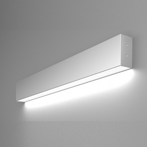 Накладной светильник Elektrostandard LS-02-1 a040131. Фото №1